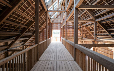 Ein Haus für Alpakas